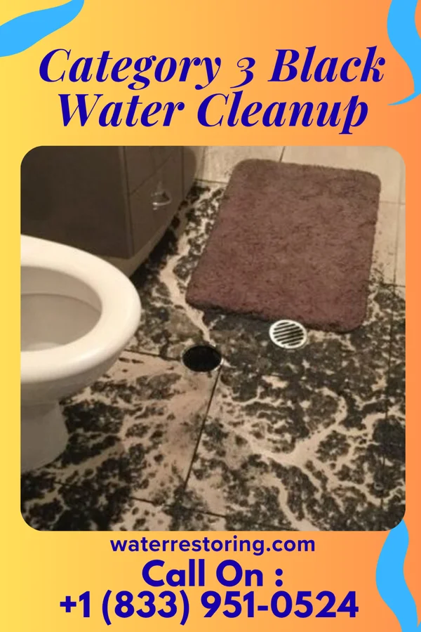 Category 3 Black Water Cleanup in Linden, WI
