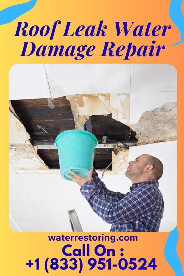 Roof Leak Water Damage Repair in Linden, WI